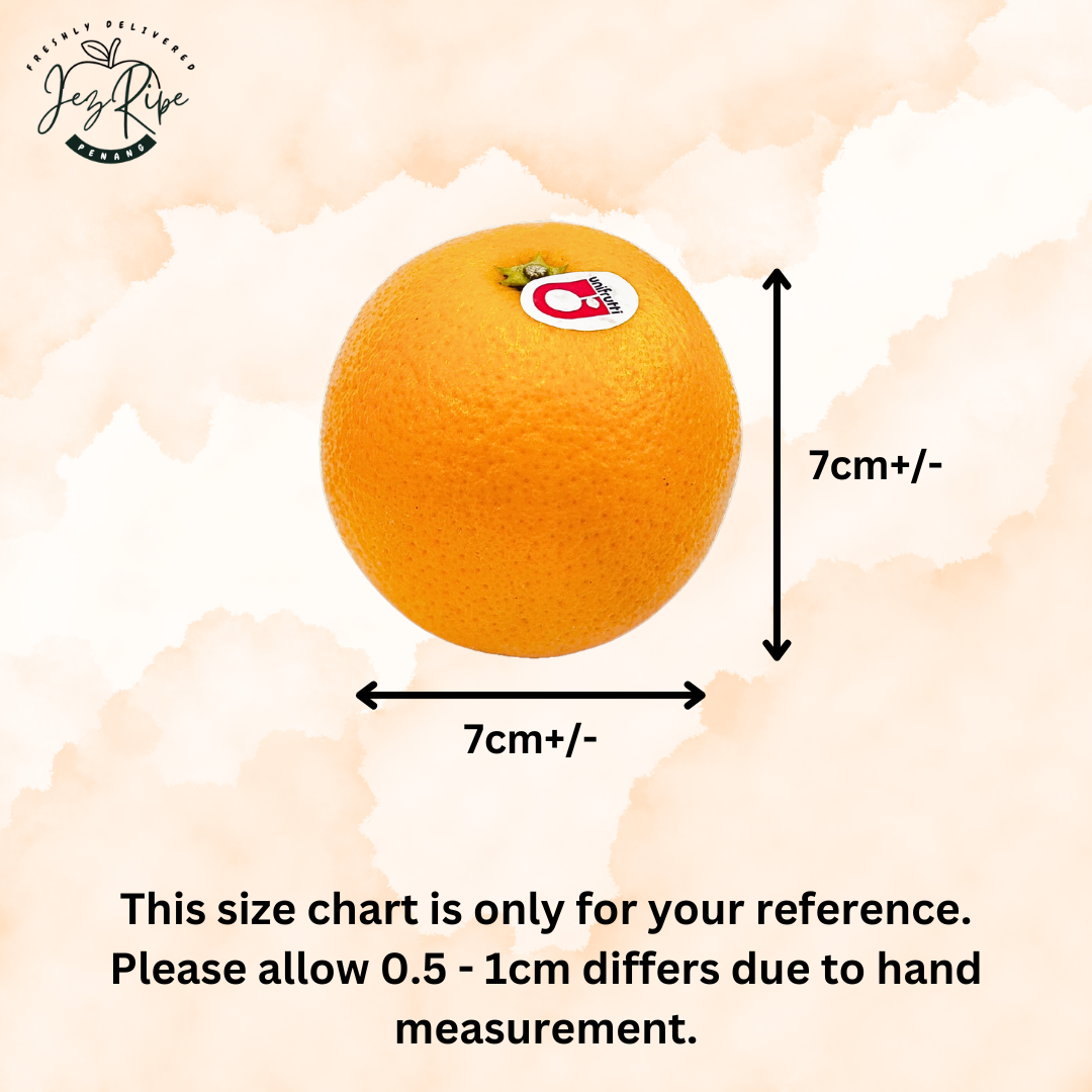 South Africa (M) Size Juicy Valencia Oranges (8pcs RM9.90)
