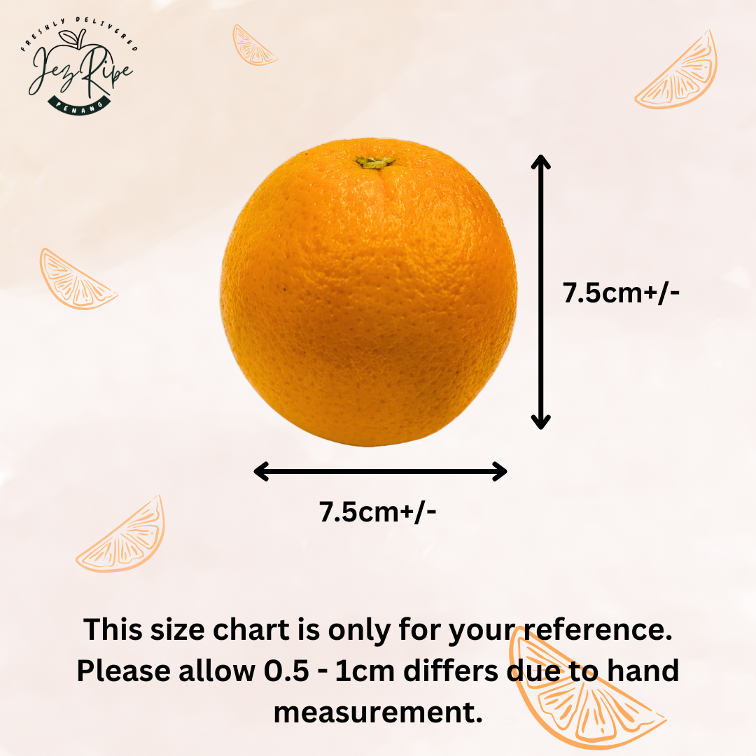 South Africa (L) Size Juicy Valencia Oranges (7pcs RM 9.90)