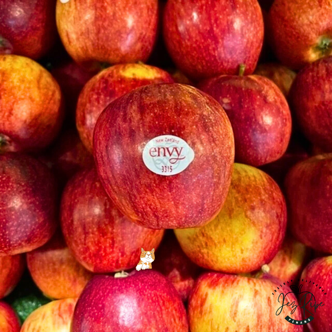 Envy New Zealand (XXL) Jumbo