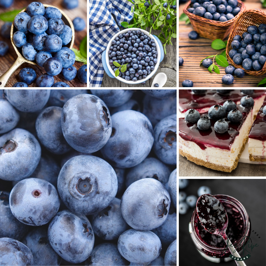 JUMBO Blueberry 125G Driscoll Peru