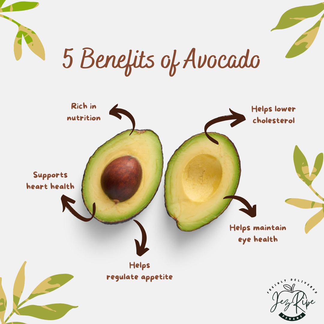 Australia Shepard Avocado