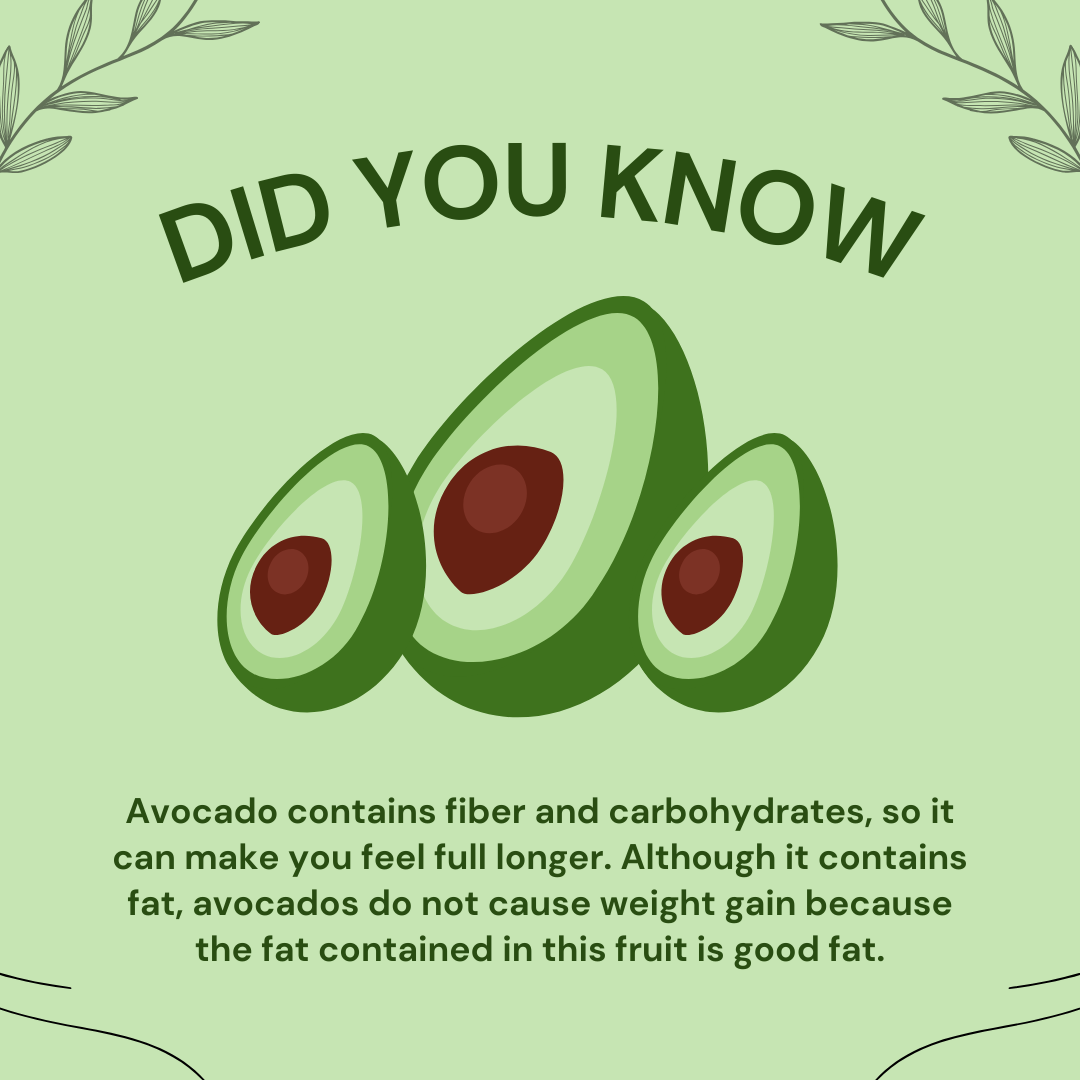 Australia Shepard Avocado