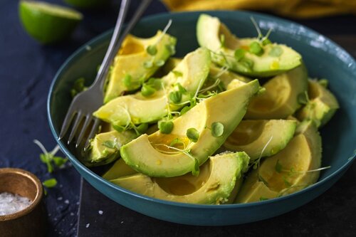 Australia Shepard Avocado